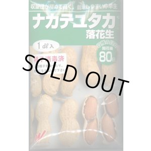 画像: 送料無料　[落花生]　ナカテユタカ　1dl　(およそ60粒)渡辺農事（株）