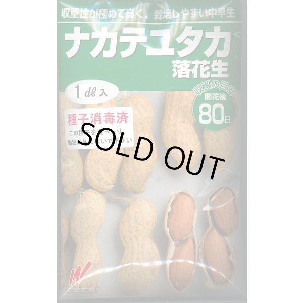 画像1: 送料無料　[落花生]　ナカテユタカ　1dl　(およそ60粒)渡辺農事（株） (1)