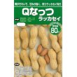 画像1: [落花生]　落花生種　Ｑなっつ　50ml　（およそ28粒）渡辺農事株式会社 (1)