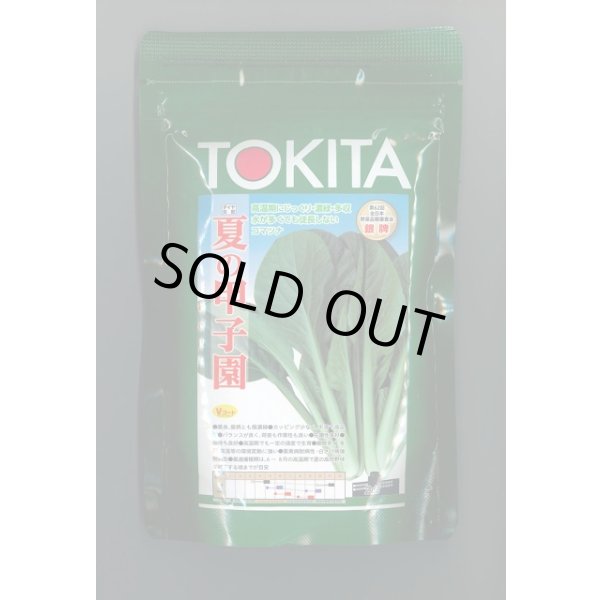 画像1: 送料無料　[小松菜]　夏の甲子園　2dl　トキタ種苗(株) (1)