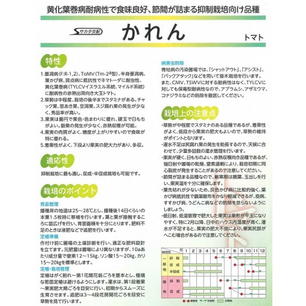 画像3: 送料無料 [トマト/大玉トマト] かれん 1000粒 (株)サカタのタネ (3)