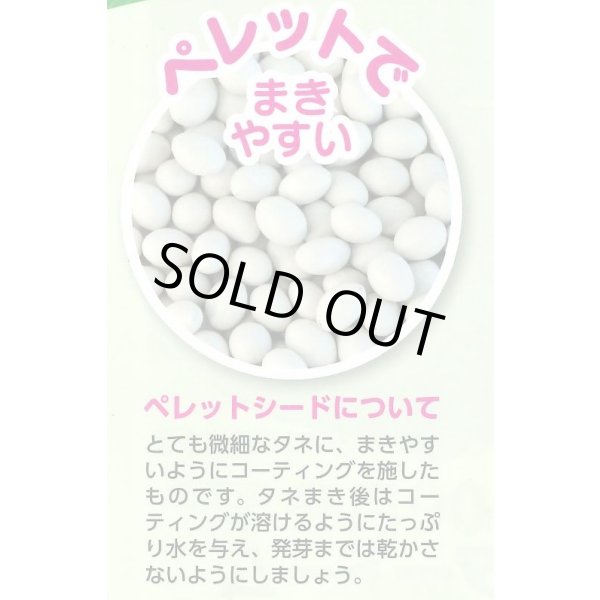 画像5: 送料無料　[ブロッコリー]　ウインタードーム　ペレット120粒　(株)サカタのタネ（実咲003177） (5)