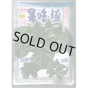 画像: [ほうれんそう]　寒味・極　　1万粒　トキタ種苗（株）