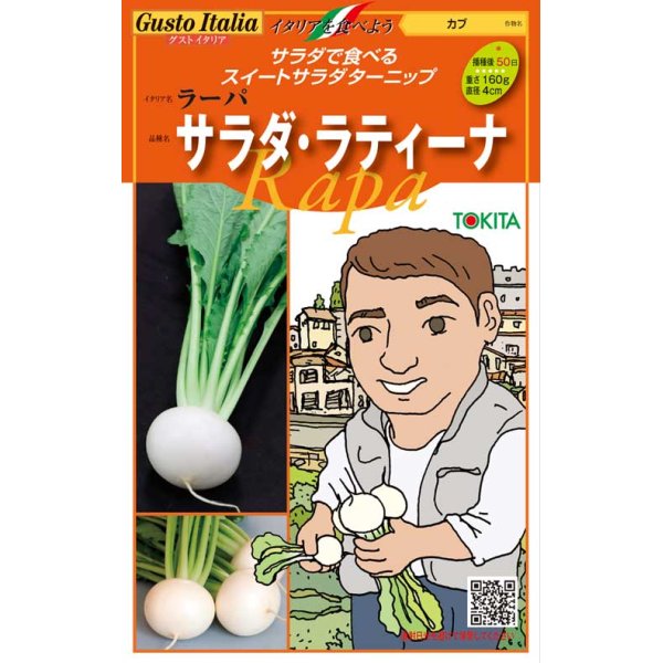 画像1: [イタリア野菜]サラダ・ラティーナ　200粒　トキタ種苗（株） (1)