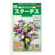 画像1: 花の種 　スターチス　切り花用　美色混合　約54粒　サカタのタネ（株）実咲250 (1)