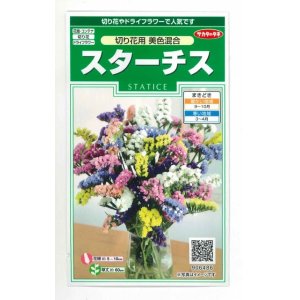 画像: 花の種 　スターチス　切り花用　美色混合　約54粒　サカタのタネ（株）実咲250