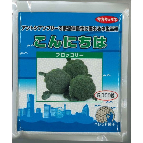 画像1: 送料無料　[ブロッコリー]　こんにちは　ペレット5000粒　(株)サカタのタネ (1)