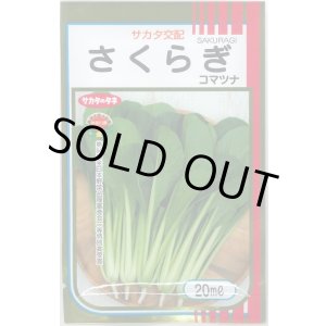 画像: 送料無料　[小松菜]　さくらぎ　20ml　（株）サカタのタネ