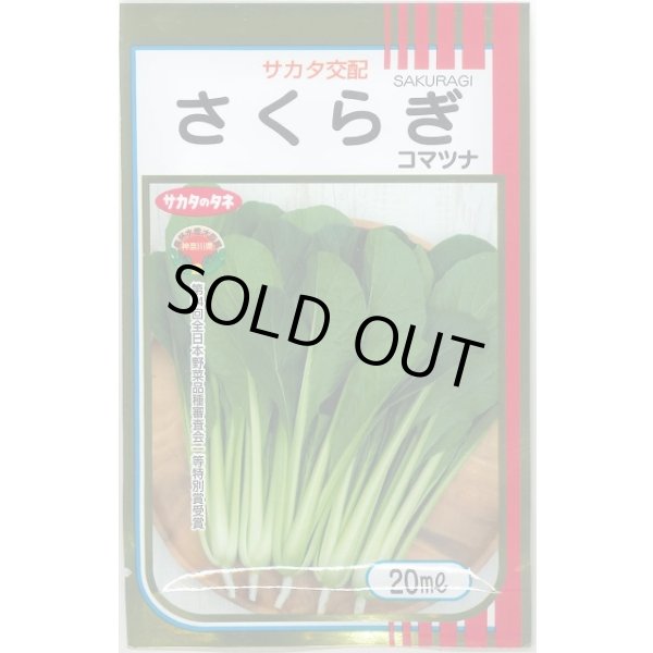 画像1: 送料無料 [小松菜] さくらぎ 20ml （株）サカタのタネ (1)