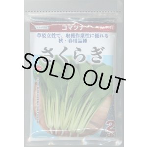 画像: 送料無料　[小松菜]　さくらぎ　2dl　（株）サカタのタネ