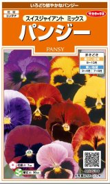 画像: 送料無料　花の種　パンジー　スイスジャイアントミックス　約70粒　(株)サカタのタネ　実咲200（026346）