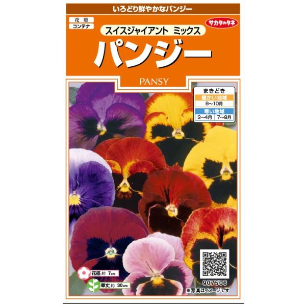 画像1: 送料無料　花の種　パンジー　スイスジャイアントミックス　約70粒　(株)サカタのタネ　実咲200（026346） (1)