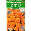 画像1: 送料無料　花の種　ビオラ　ピエナ　オレンジ　20粒　(株)サカタのタネ　実咲250（026269） (1)