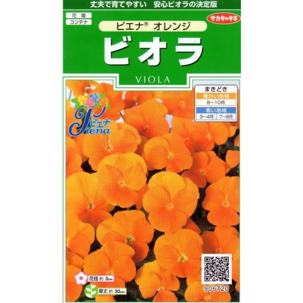 画像1: 送料無料　花の種　ビオラ　ピエナ　オレンジ　20粒　(株)サカタのタネ　実咲250（026269） (1)