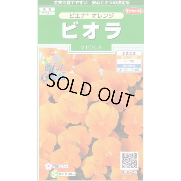 画像1: 送料無料　花の種　ビオラ　ピエナ　オレンジ　20粒　(株)サカタのタネ　実咲250（026269） (1)