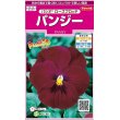 画像1: 花の種　パンジー　パシオ　ローズブロッチ　約34粒　　サカタのタネ（株）実咲350 (1)