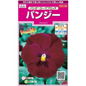 画像: 送料無料　花の種　パンジー　パシオ　ローズブロッチ　約34粒　(株)サカタのタネ　実咲350（026140）