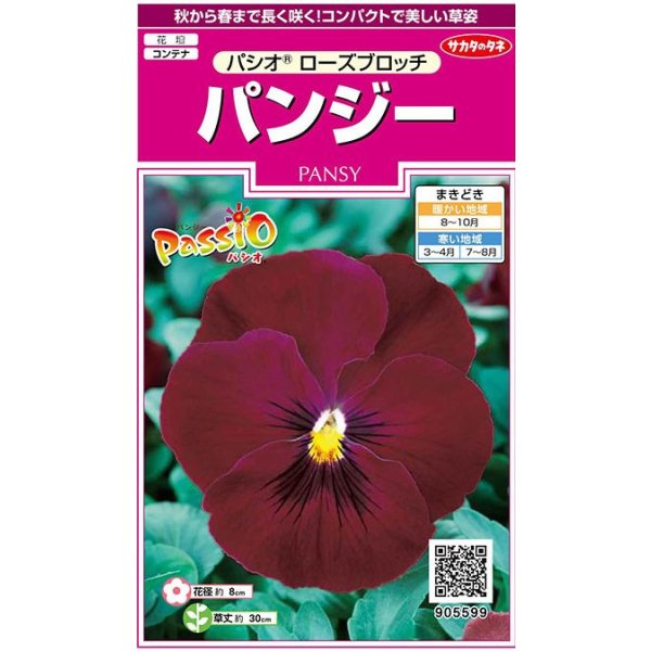 画像1: 花の種 パンジー パシオ ローズブロッチ 約34粒 (株)サカタのタネ 実咲350(026140) (1)