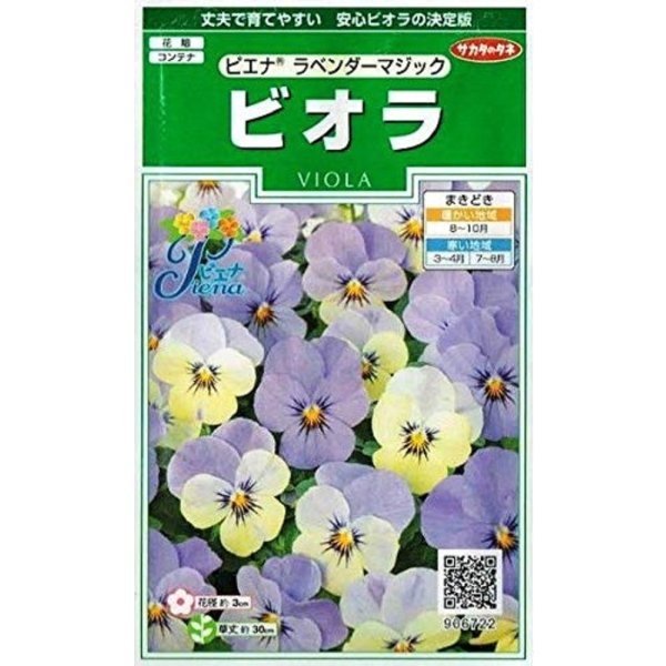 画像1: 送料無料　花の種　ビオラ　ピエナ　ラベンダーマジック　20粒　(株)サカタのタネ　実咲250（026271） (1)