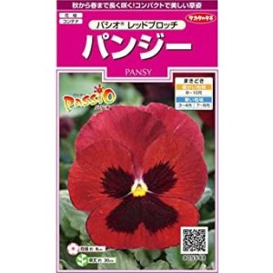 画像: 送料無料　花の種　パンジー　パシオ　レッドブロッチ　約34粒　(株)サカタのタネ　実咲350（026139）