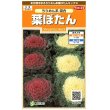 画像1: 花の種　葉ぼたん　ちりめん系混合　約27粒　　サカタのタネ（株）実咲200 (1)