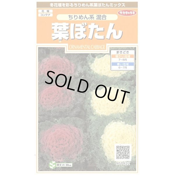 画像1: 花の種　葉ぼたん　ちりめん系混合　約27粒　　サカタのタネ（株）実咲200 (1)