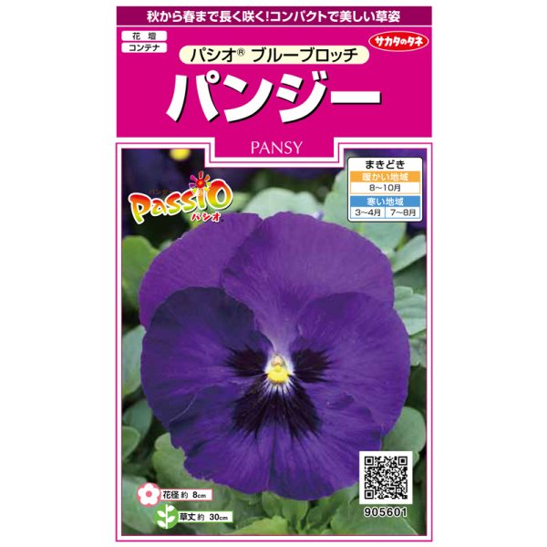 画像1: 送料無料　花の種　パンジー　パシオ　ブルーブロッチ　約34粒　(株)サカタのタネ　実咲350（026142） (1)