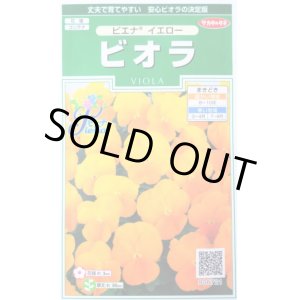 画像: 花の種　ビオラ　ピエナ　イエロー　20粒　　サカタのタネ（株）実咲250