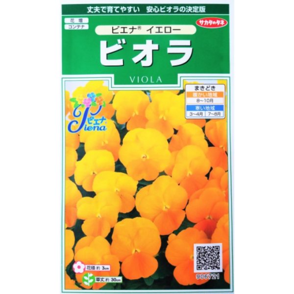 画像1: 送料無料　花の種　ビオラ　ピエナ　イエロー　20粒　(株)サカタのタネ　実咲250（026270） (1)