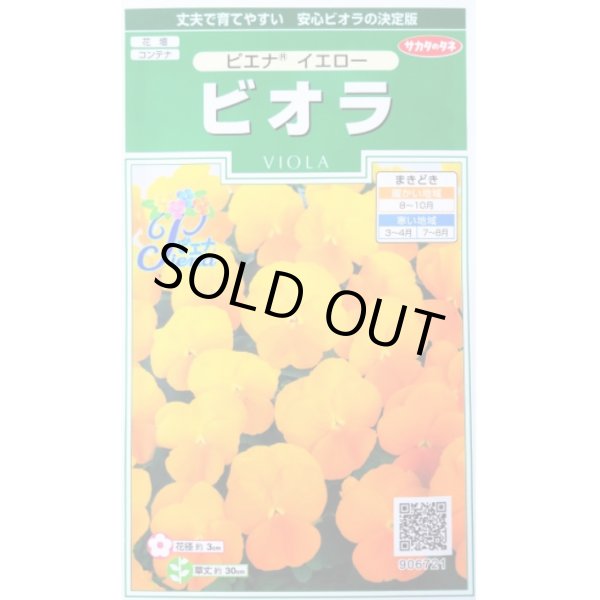 画像1: 花の種　ビオラ　ピエナ　イエロー　20粒　　サカタのタネ（株）実咲250 (1)