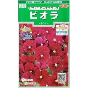 画像: 送料無料　花の種　ビオラ　ピエナ　ローズブロッチ　20粒　(株)サカタのタネ　実咲250（026272）