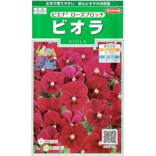 画像1: 送料無料　花の種　ビオラ　ピエナ　ローズブロッチ　20粒　(株)サカタのタネ　実咲250（026272） (1)