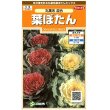 画像1: 花の種　葉ぼたん　丸葉系混合　約27粒　サカタのタネ（株）実咲200 (1)