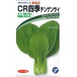 画像1: [中国野菜]　チンゲンサイ　　ＣＲ四季チンゲンサイ　2ml  （株）タカヤマシード (1)