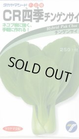 画像: 送料無料　[中国野菜]　チンゲンサイ　ＣＲ四季チンゲンサイ　2ml　(株)タカヤマシード
