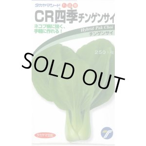 画像: 送料無料　[中国野菜]　チンゲンサイ　ＣＲ四季チンゲンサイ　2ml　(株)タカヤマシード
