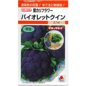画像: 送料無料　[カリフラワー]　バイオレットクイン　0.6ml　タキイ種苗(株)　RF