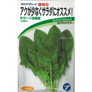 画像: 送料無料　[ほうれんそう]　サラード1dl　(株)タカヤマシード