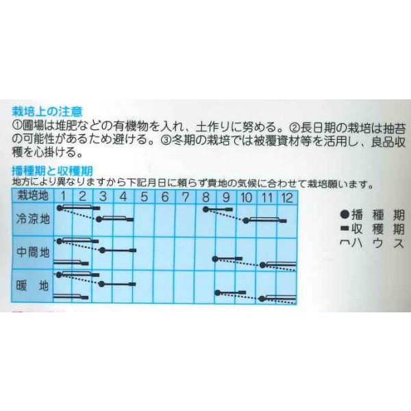 画像2: 送料無料　[ほうれんそう]　サラード1dl　(株)タカヤマシード (2)