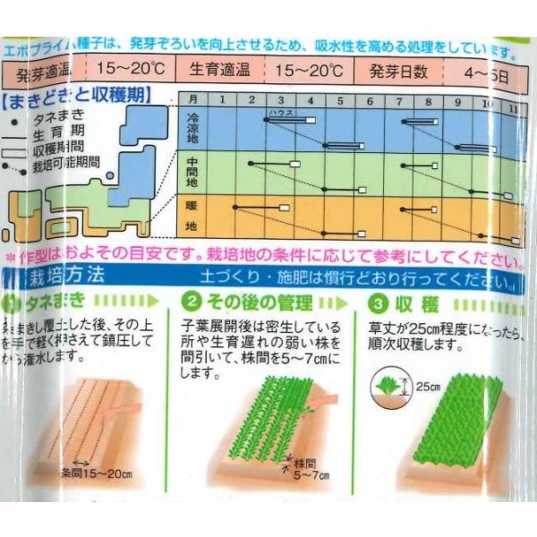 画像3: 送料無料　[ほうれんそう]　タフスカイ　40ml　タキイ種苗(株)　RF (3)