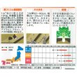 画像2: [大根]　夏の守　（約150粒）　実咲　サカタ交配 (2)