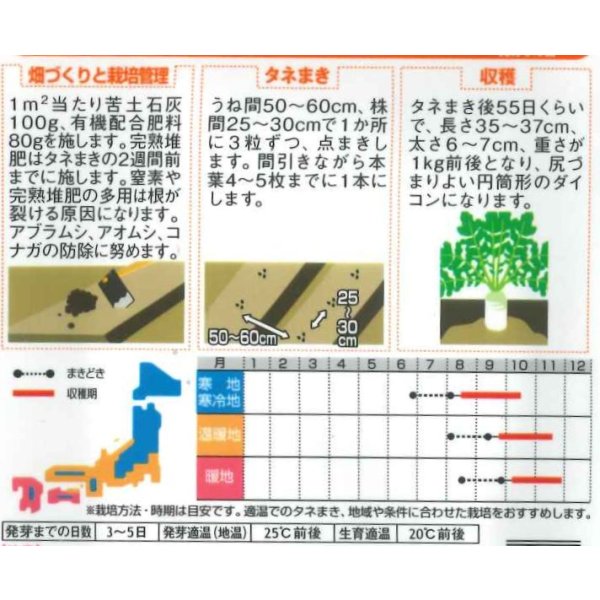 画像2: 送料無料　[大根]　夏の守　(約150粒)　(株)サカタのタネ 実咲450（003072） (2)