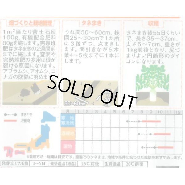 画像2: [大根]　夏の守　（約150粒）　実咲　サカタ交配 (2)