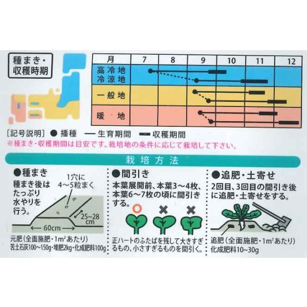 画像2: 送料無料　[大根]　ふるさと　8ml　（株）大和農園 (2)