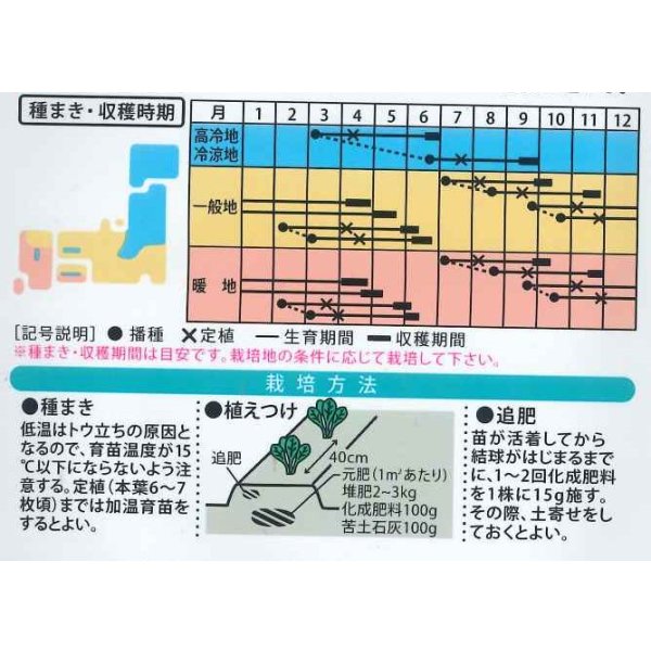 画像2: 送料無料　[辛味大根]　旭山　5ml　(およそ175粒)　（株）大和農園 (2)