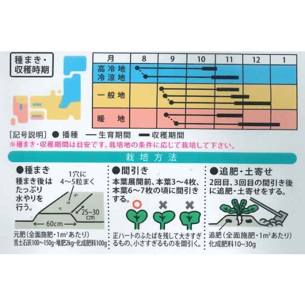画像2: 送料無料　[大根]　紀和　8ml(およそ260粒)（株）大和農園 (2)