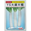 画像1: [大根]　ＹＳ大蔵大根　8ml （およそ280粒）　大和農園 (1)