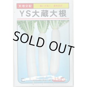 画像: [大根]　ＹＳ大蔵大根　8ml （およそ280粒）　大和農園