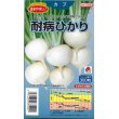 画像1: [かぶ]　耐病ひかり　ペレット300粒　タキイ種苗（株） (1)