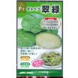 画像1: 送料無料　[キャベツ]　翠緑　1ml　(株)大和農園 (1)